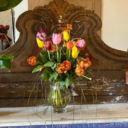Bed & Breakfast Casale San Giorgio
