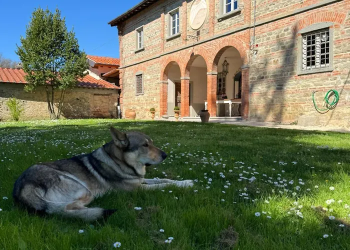 Casale San Giorgio Bed & Breakfast